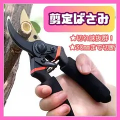 ☆剪定ばさみ 園芸ハサミ ガーデニング 枝切り 植木 家庭菜園 造園 庭木 用品のサムネイル