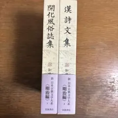 漢詩大系20巻 抜けあり　集英社 まとめ売り 本 中国名詩篇 李白 杜甫 王維 2026年最新】漢詩大系の人気アイテム - メルカリ