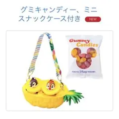 東京ディズニーリゾート チップとデール グミキャンディーケースのサムネイル