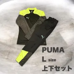 新品未使用 ガルフィー エコーアンリミテッド コラボ L セットアップ 