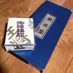 将棋。将棋世界2006年12月号。糸谷流右玉。 - メルカリ