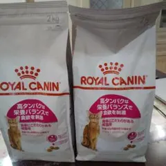 ROYAL CANIN キャットフード 2kg　高タンパク　プロテイン　２袋
