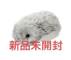 2025年最新】CASIO ぬいぐるみの人気アイテム - メルカリ