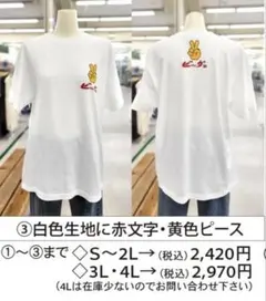 奄美大島　Tシャツ