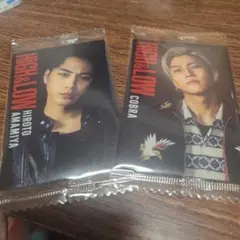 HIGH&LOW キャラクターカードセット