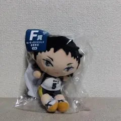 フリューくじ ハイキュー!!ぬいもっち F賞 赤葦京治