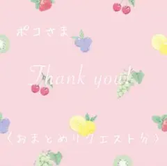 ポコ様 リクエスト 2点 まとめ商品