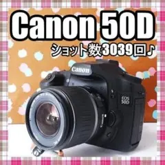☆スマホに送れる一眼レフ☆超本格入門!!☆ キャノン EOS 50Dセット♫ ☆スマホに送れる一眼レフ☆超本格入門☆ キャノン EOS 50Dセット cr