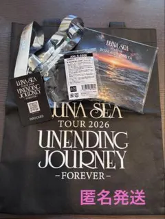 LUNASEA 横浜 7月12日 SLAVEシート特典 当日限定CD&バッグ - メルカリ