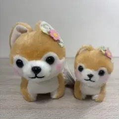 AMUFUN　豆しば三兄弟　ハッピークローバー　ST　LMC　小梅　2点セット