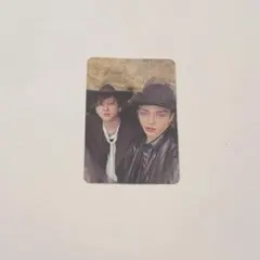 StrayKids ジニビニ ケミ トレカ