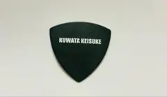 Item thumbnail for item 49ee30fb-649c-4981-84c0-9e232583575b