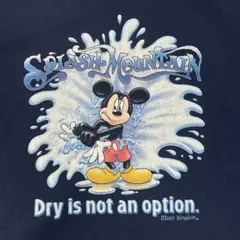 00s Disney スプラッシュ マウンテン スウェット ディズニー キャラ 2025年最新】スプラッシュマウンテン スウェットの人気アイテム