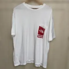 Supreme / The North Face Printed Tee L