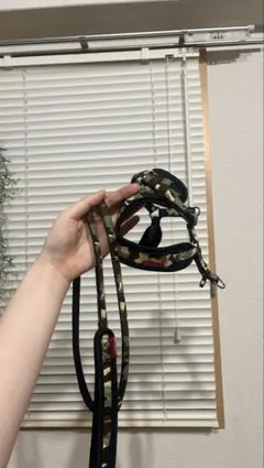 新品 ハンター HUNTER リード 散歩 ロングリード 犬 12m グリーン