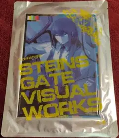 STEINS GATE VISUAL WORKS シュタインズゲートのサムネイル