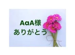 AaA様専用ページ/6