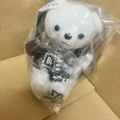 BMSGパーカー JUNON ジュノン　くま BEFIRST ビーファースト