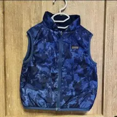 patagonia リバーシブル　ベスト