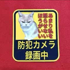 防犯カメラ録画中　パロディ　ステッカー　デコトラ　レトロ　旧車会