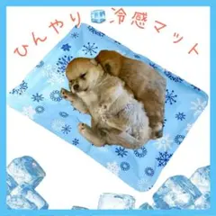 Item thumbnail for item 2c27cc93-47b4-4610-9afc-f53b1a994119