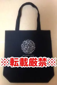 9/28まで値下中☆成田空港 トートバッグ