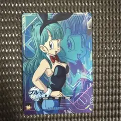 Sdv5-lpur1 ブルマ