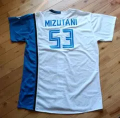 Item thumbnail for item 76a41940-326b-46eb-be55-80133797d79c