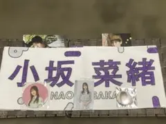 Item thumbnail for item 8223438a-92a9-4f21-9d42-a1db7f872b87