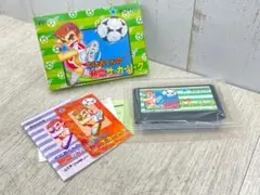新品 くにおくんの熱血サッカーリーグ ファミコンソフト テクノス 1993年