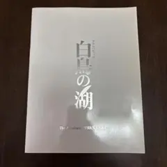 アクロバティック白鳥の湖 パンフレット