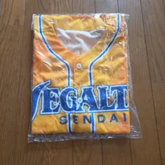 VEGALTA SENDAI 応援シャツ