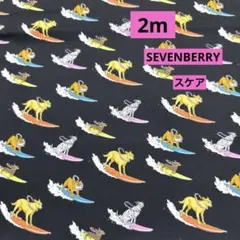 SEVENBERRY★ブロード★波乗り犬 ★ブラック★ラスト2枚