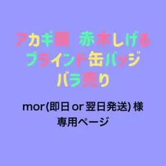 mor(即日or翌日発送)様 専用ページ