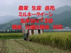 玄米（5kg3袋）令和7年産ミルキークイーン 白米 分搗き米 無洗米 対応のサムネイル