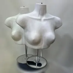 ホワイト卓上ハーフトルソー2体セット