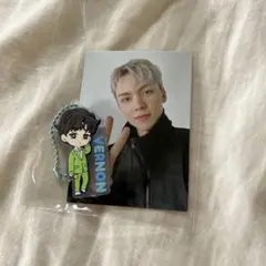 PetiSEVENTEENラバマスグミ＆トレカ VERNON②