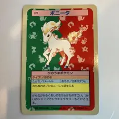 トップサン　ポケモンカード　ポニータ　裏面青