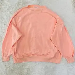 BROWNY STANDARD/トレーナー スウェット/F/裏起毛 シンプルのサムネイル