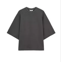 タグ付き新品ZARA ラスティック　スウェットシャツ　　L