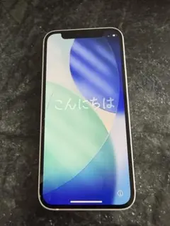 Widi Santika様 iPhone12mini ジャンク品 - メルカリ