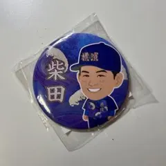 2026年最新】柴田竜拓の人気アイテム - メルカリ