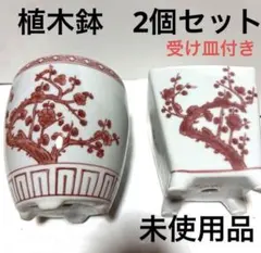 植木鉢 2個セット 受け皿付き