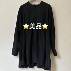 シンプリシテェ バックプリーツブラウス チュニック バンドカラー 黒 Fのサムネイル