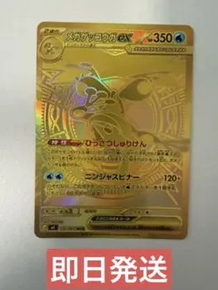 2026年最新】メガゲッコウガex murの人気アイテム - メルカリ