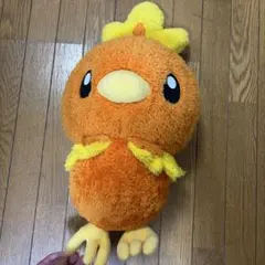 アチャモ　ぬいぐるみのサムネイル