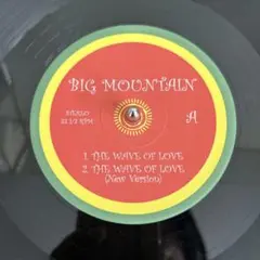 BIG MOUNTAIN レコード