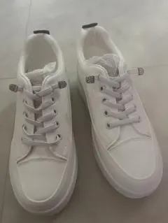 Item thumbnail for item cc14899f-d2a7-4f50-863e-4095f70c1feb