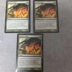 Wrap in Vigor 3枚セット