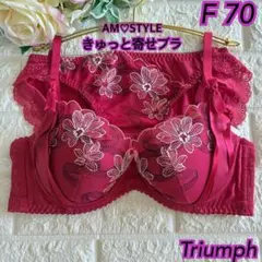 F70M トリンプ プレミアム レッドレーベル 0094ブラ＆ショーツM014